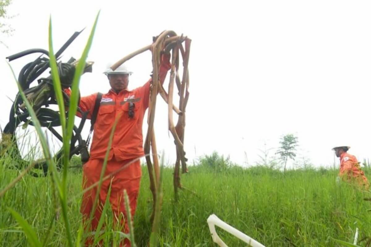 ハノイ送電網から2キロの銅線が盗難、損害は約4万2087ドル