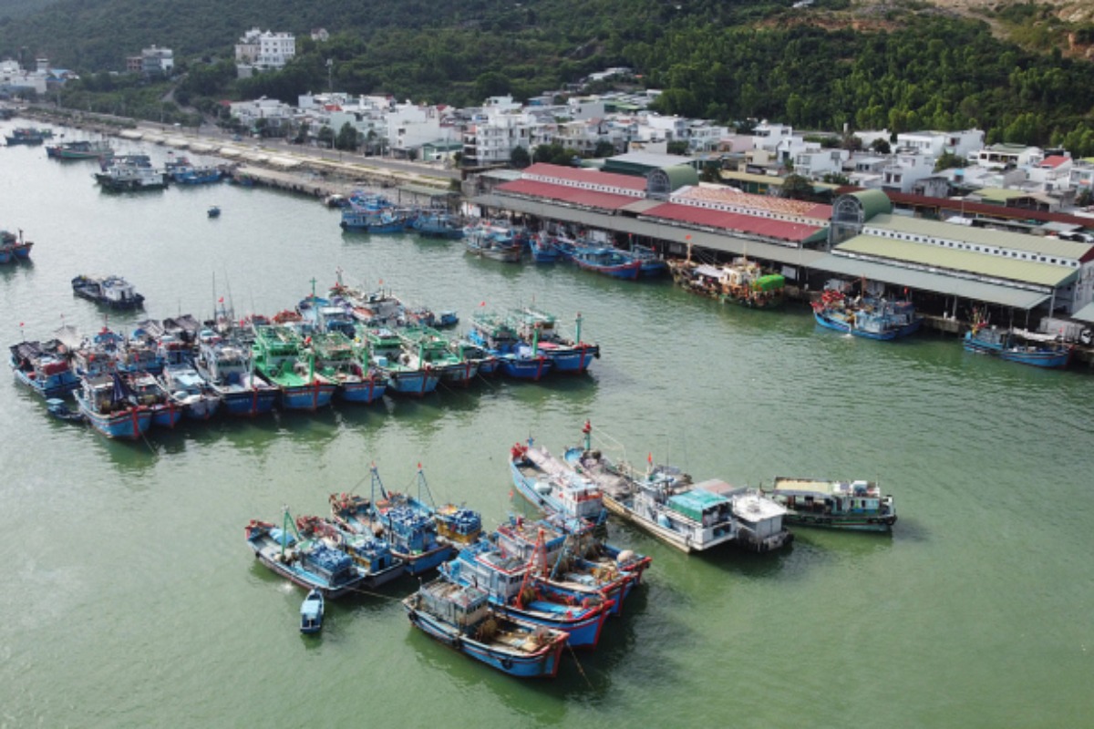ベトナムの水産物輸出、今年は90億ドルに達する見込み