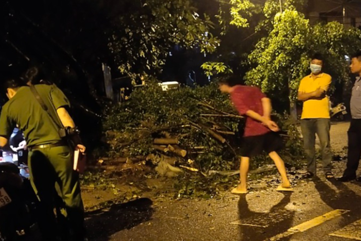 ホーチミンで街路樹が倒木、押し潰された男性が死亡