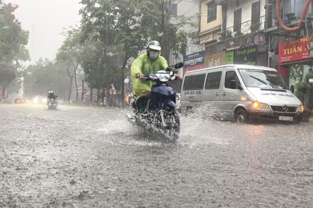 ハノイの強風と雷雨、木々や建物の倒壊で大混乱