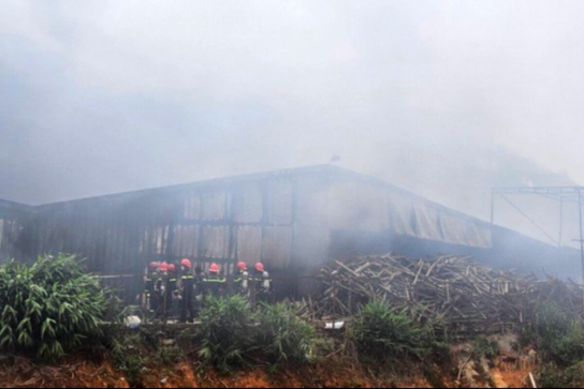 ラムドン省最大のキノコ農場が火災、3ha以上がほぼ全焼
