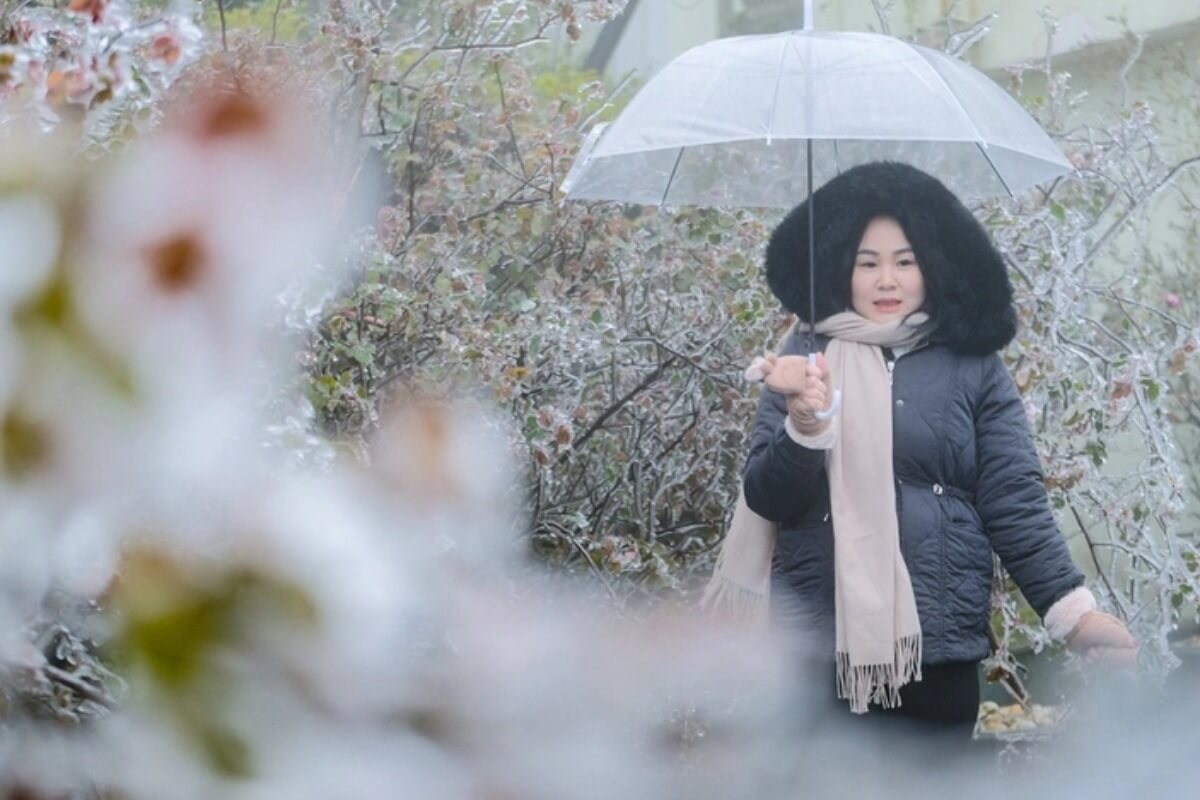 17日以降は北部で厳しい寒波、中部は大雨に注意