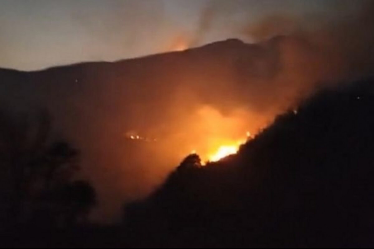 サパの国立公園で大規模火災、460人を動員して消火活動