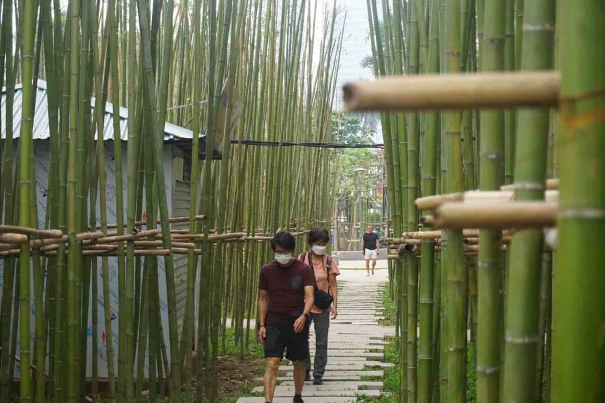 ハノイ中心部に竹の小道が登場、多くの人が完成に期待