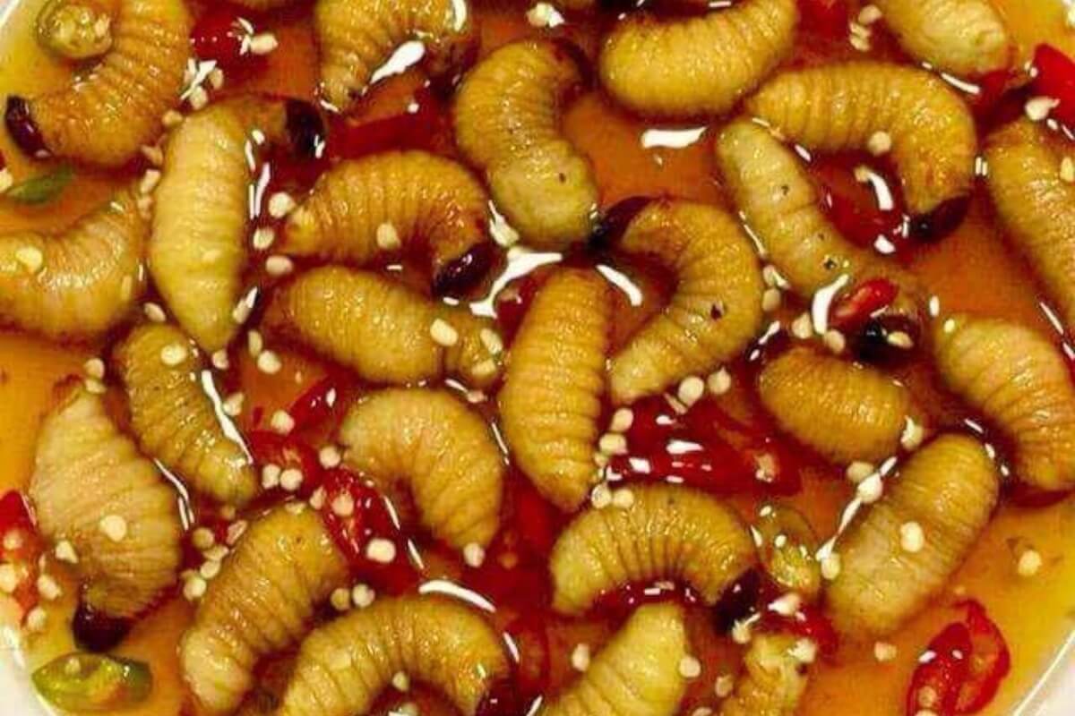 ベトナムの昆虫食、人によってはアレルギーに注意