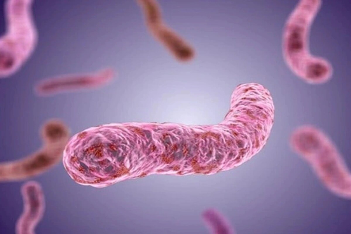 危険な食肉細菌に感染した男性、重篤な状態に