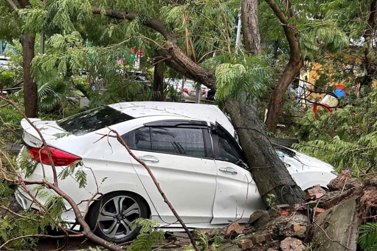 台風ヤギによる甚大な被害、全国で死者が55人へ