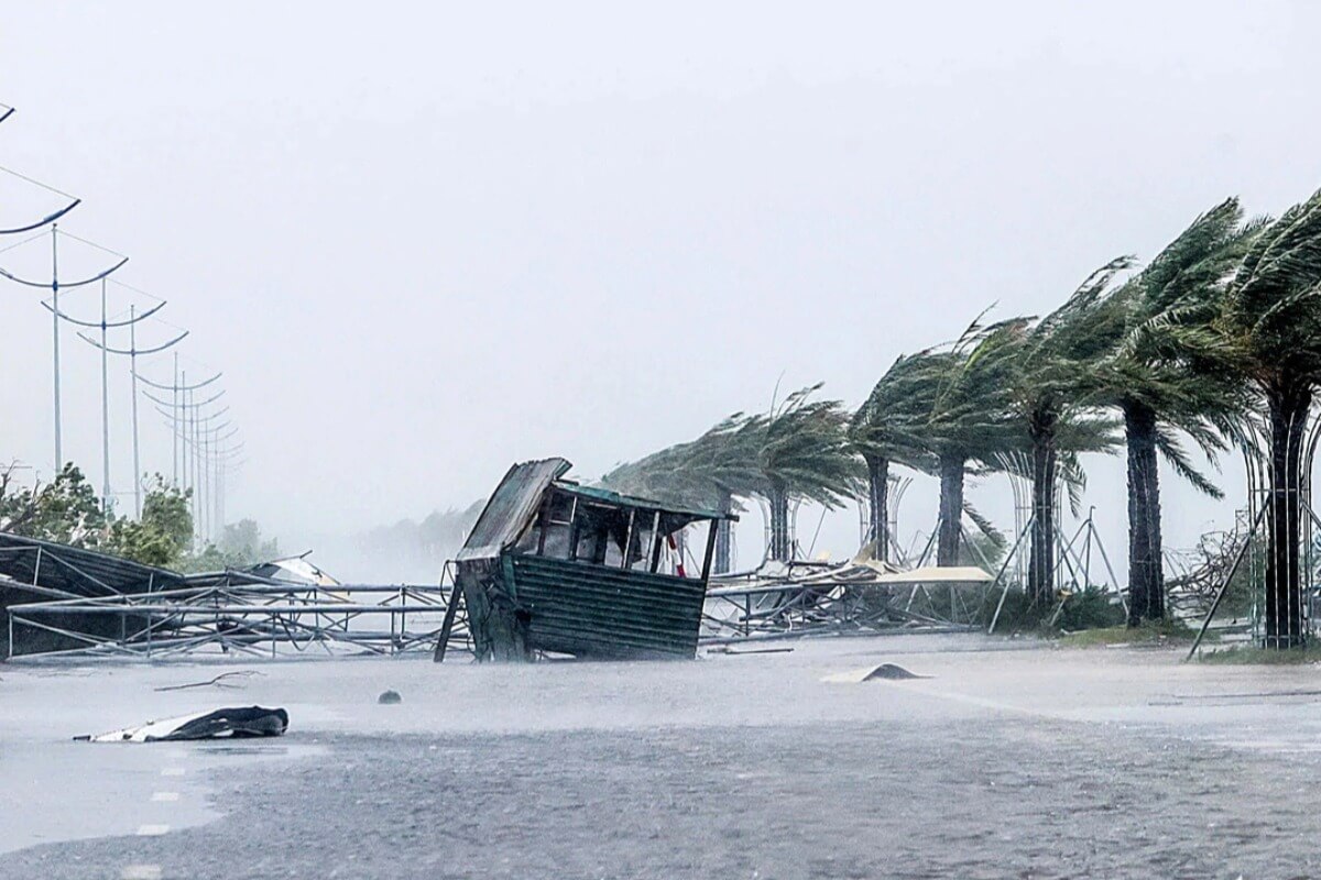 中南部では雨季が長引き、北部は厳しい寒さに