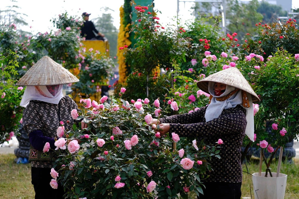 ハノイで北部最大のフラワーフェス、200トンの花々が会場を彩る