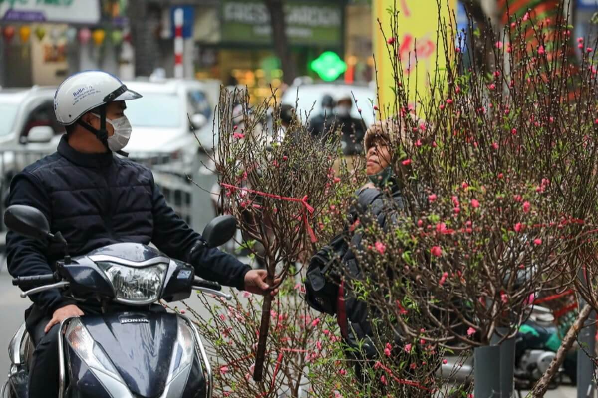 ベトナムの北部地域、テト期間に強い寒気到来