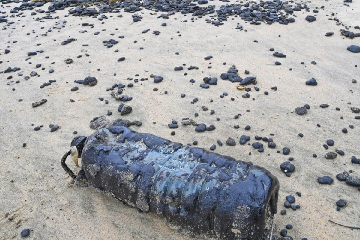 フエ市の海岸に原油塊が漂着、環境汚染の懸念広がる