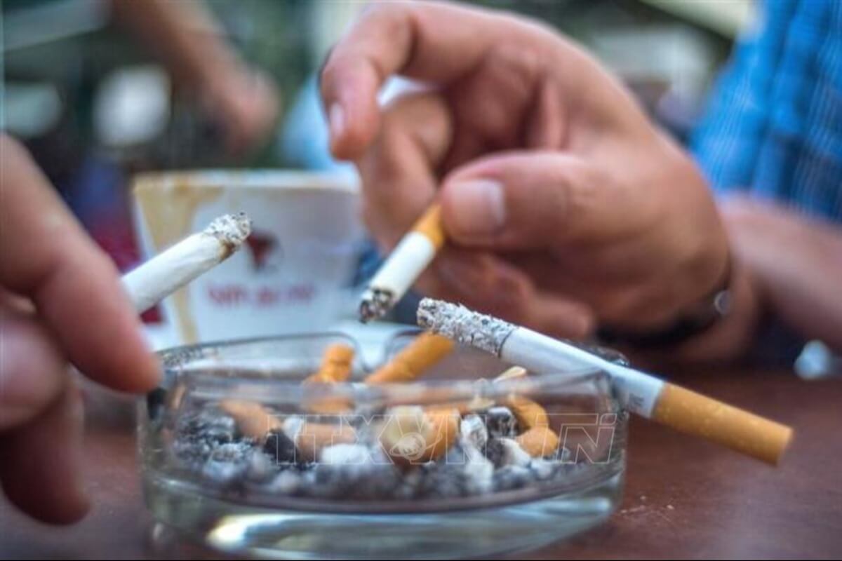 喫煙の経済的・健康的損失、年間100兆ドン規模に拡大