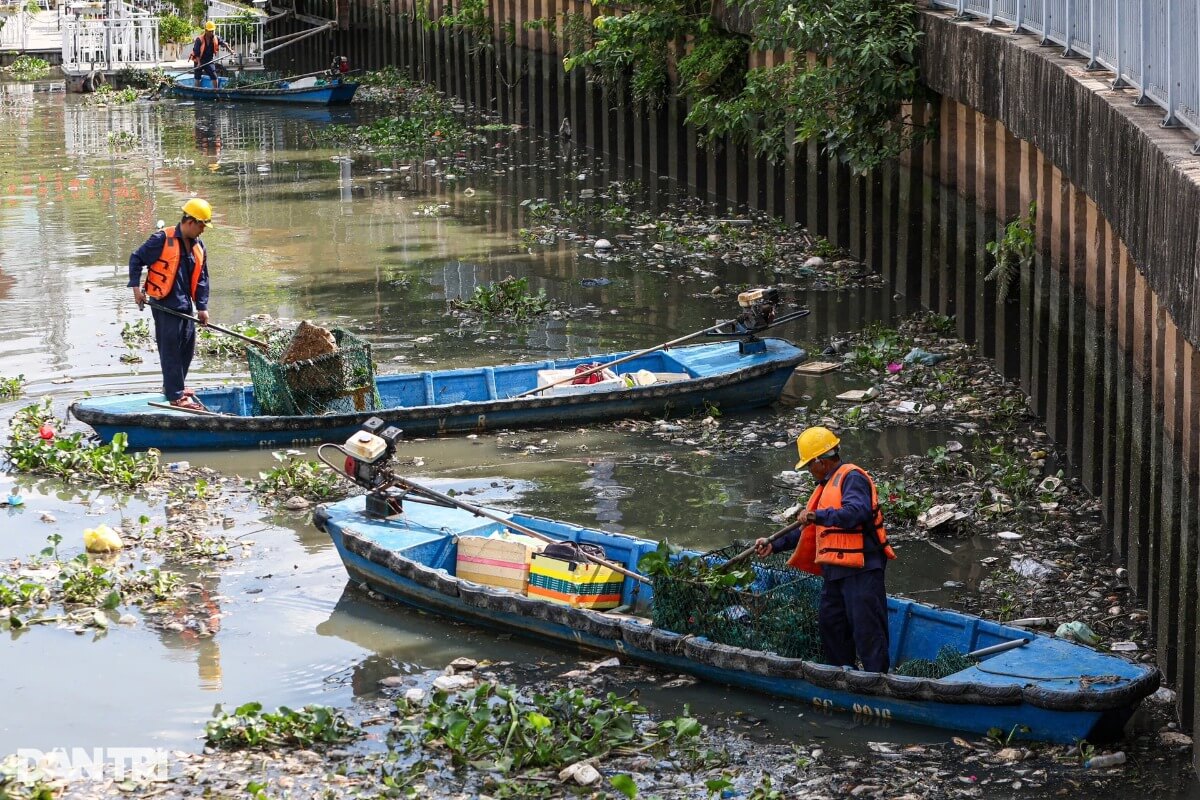ホーチミンの豪雨後、運河で20トンの魚が死滅