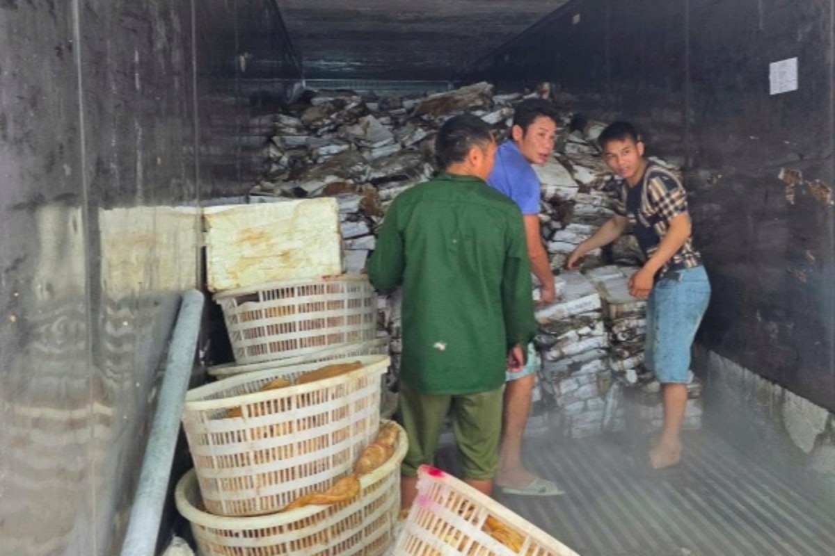 問われる食の安全、悪臭漂う食品25トン超を押収