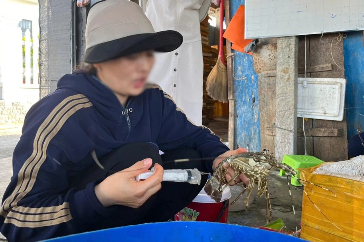 脅かされる食の安全、各地で偽装・腐敗食品を摘発