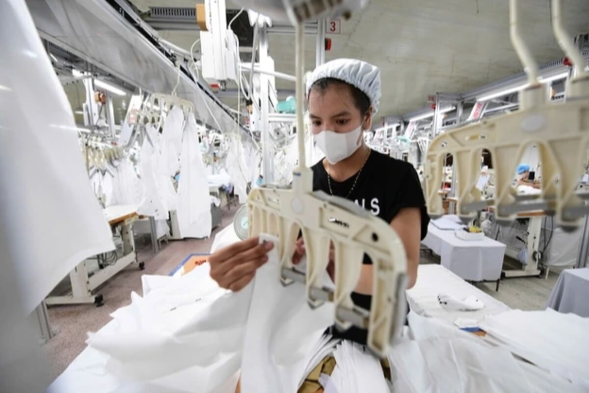 新規設立企業数、6月に過去最多を記録