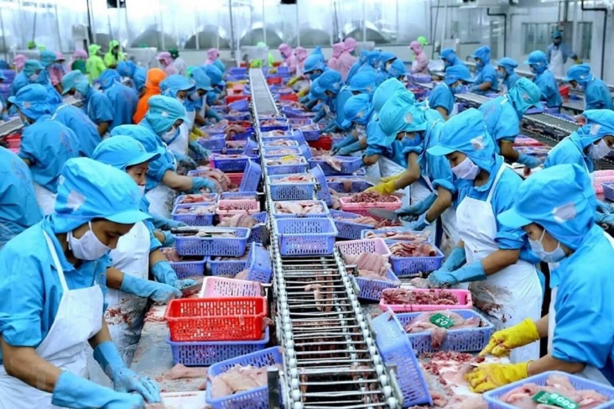 ベトナムの水産物輸出、中国が米国を抜き最大の輸入国に