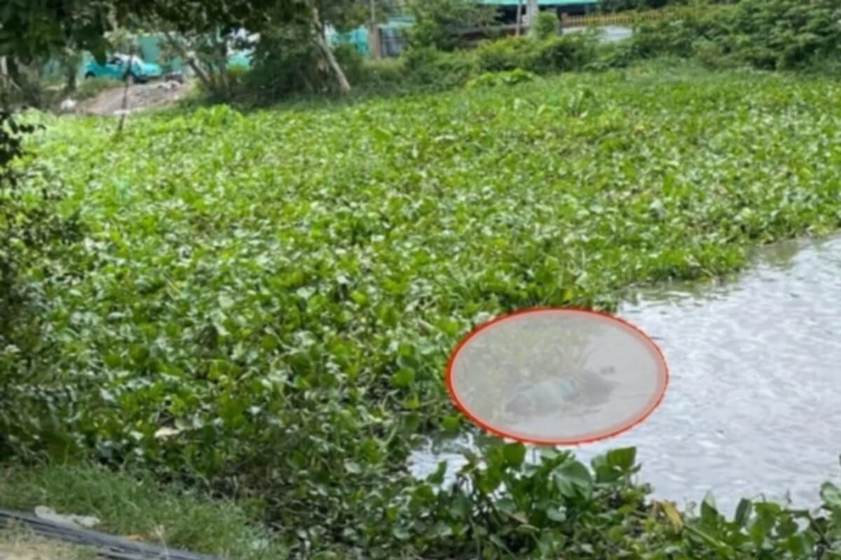 ホーチミンの橋で女性失踪、捜索により男性の遺体発見