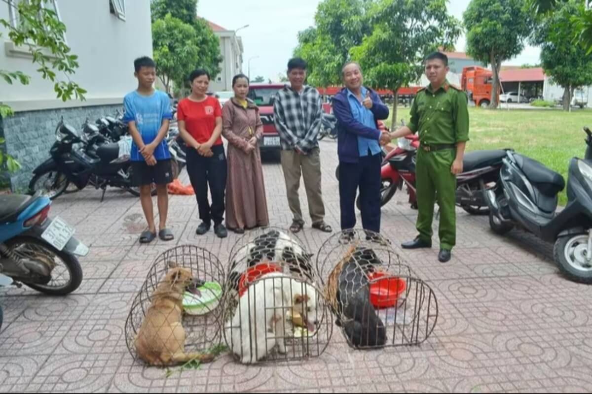 北中部で犬大量窃盗事件、男7人を刑事拘留