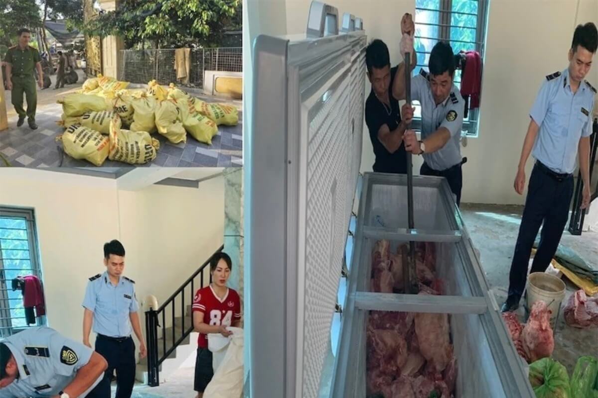 病気感染豚の違法取引、タインホアで4人を刑事拘留