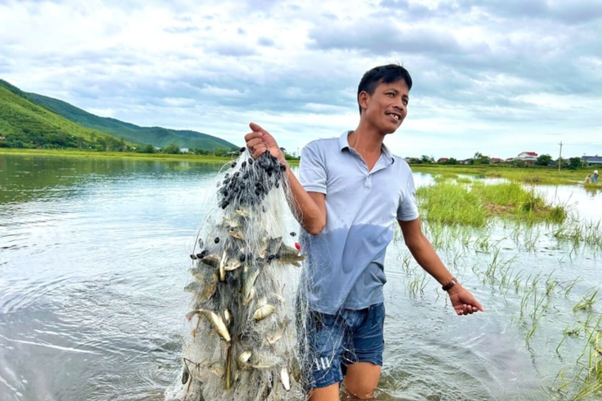 台風一過の恵み、冠水した田で魚を狙う住民