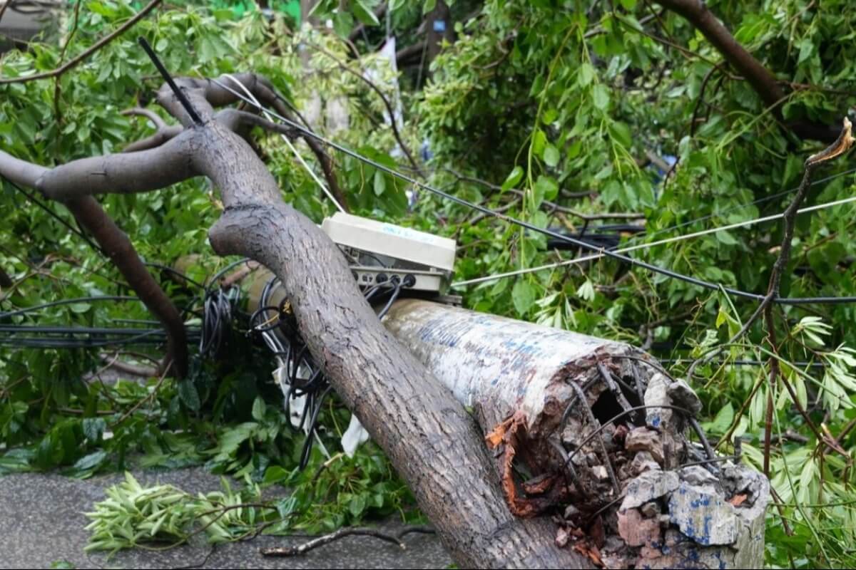 台風カジキの被害額、総額約2.9兆ドンに到達