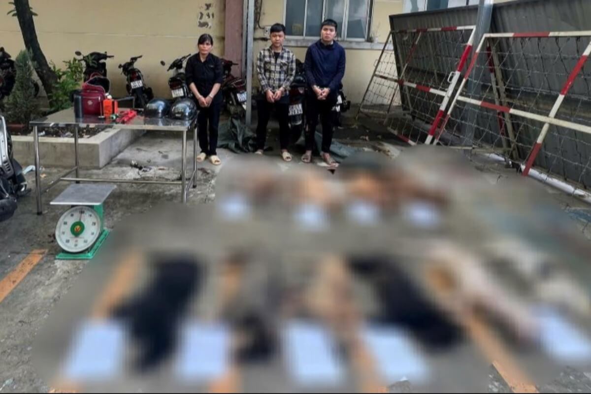 ホーチミンで犬窃盗団を摘発、現場からは犬の死骸多数