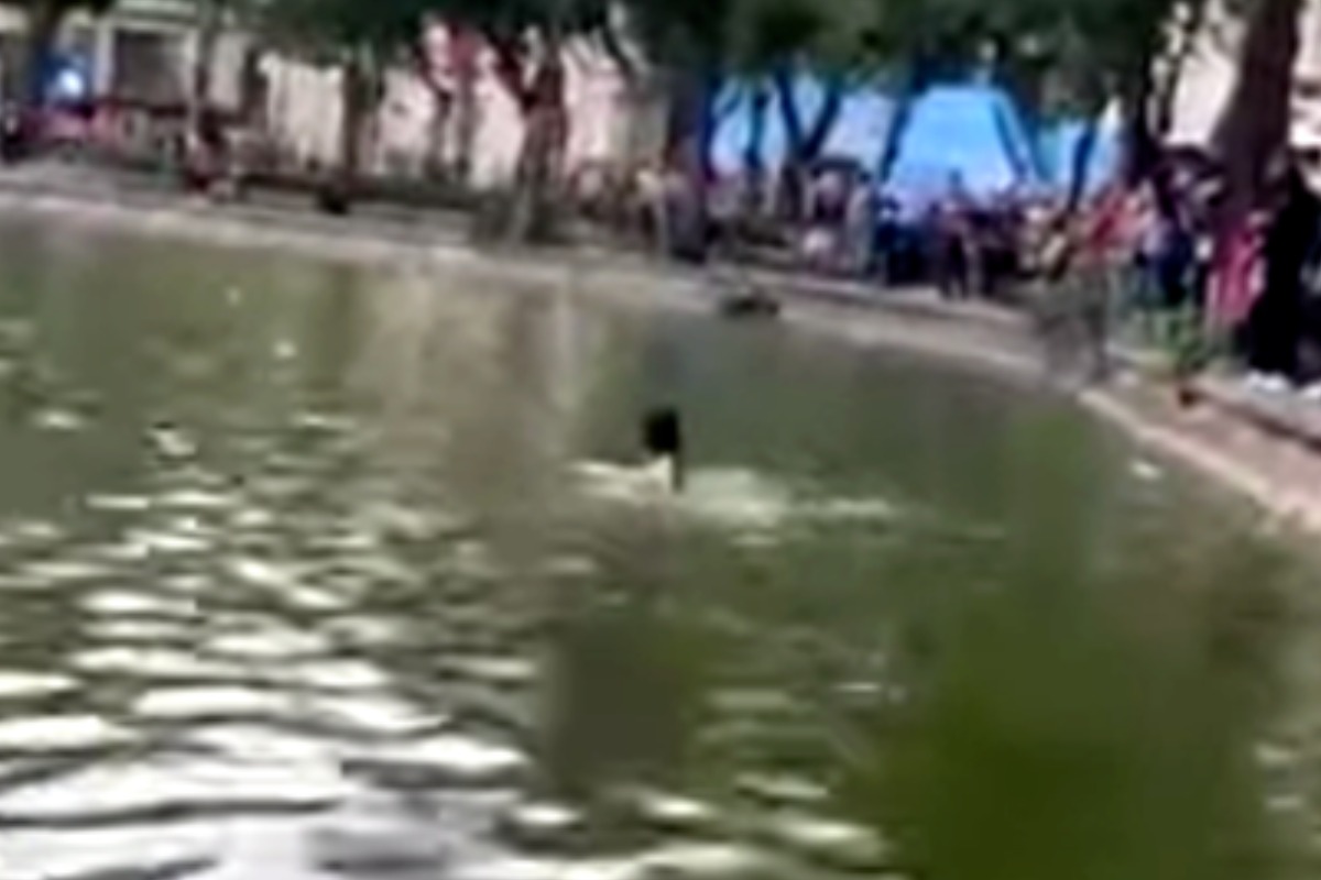 ホアンキエム湖で若い女性が溺死、住民が異常な行動を証言