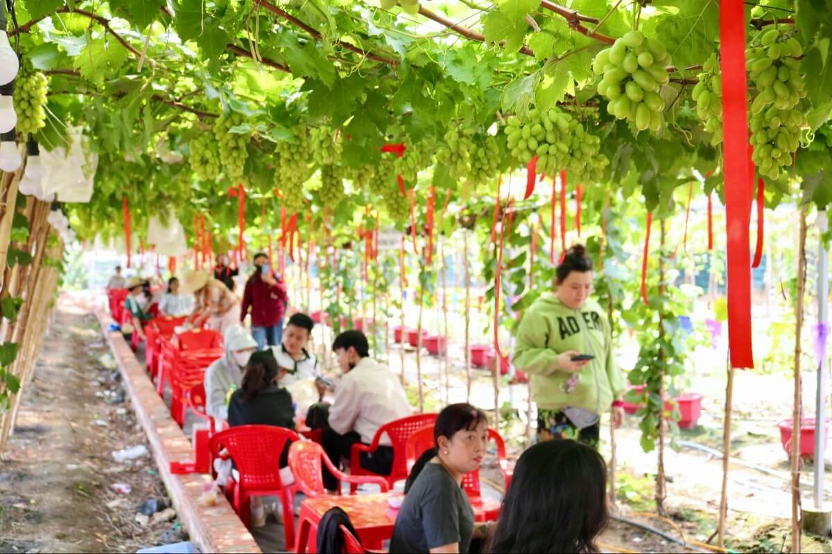 ホーチミンにブドウ園カフェ、開業直後から来客殺到