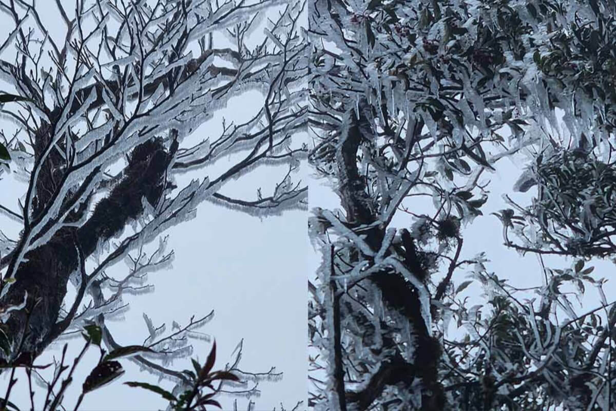 北部山岳地帯で今季初の霜、例年より約2週間早い観測