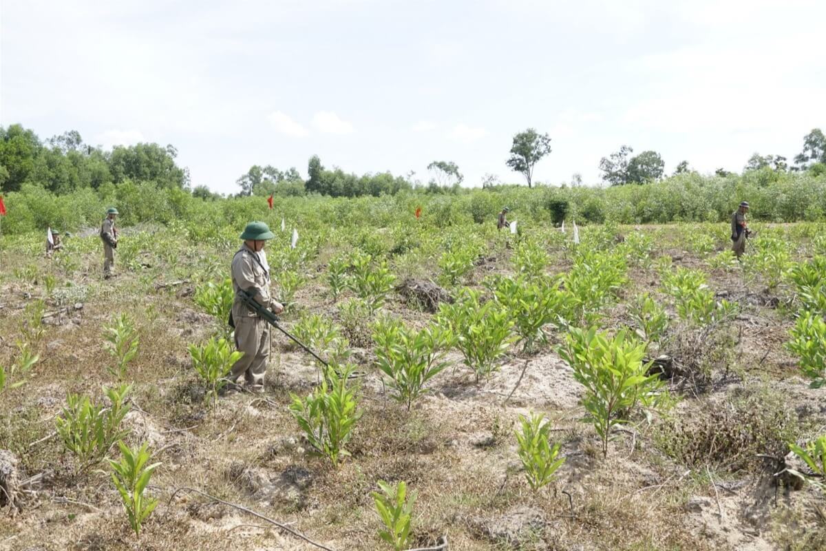 ベトナムにおける地雷の現実、除去には100年が必要