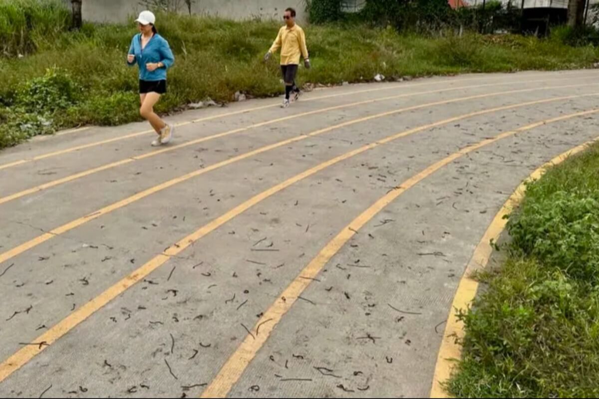 ドンナイで大量のミミズ出現、地元当局「自然現象で異常なし」