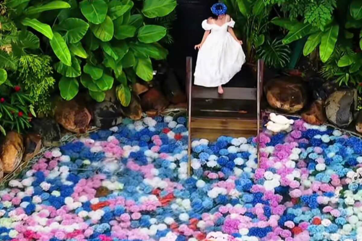 ホーチミンの新SNS映えスポット、アジサイ3500本のカフェが話題