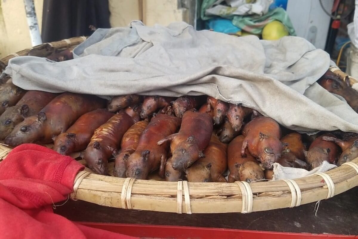 ハノイ郊外の名物「ネズミ肉」、伝統と商機が交錯する食文化