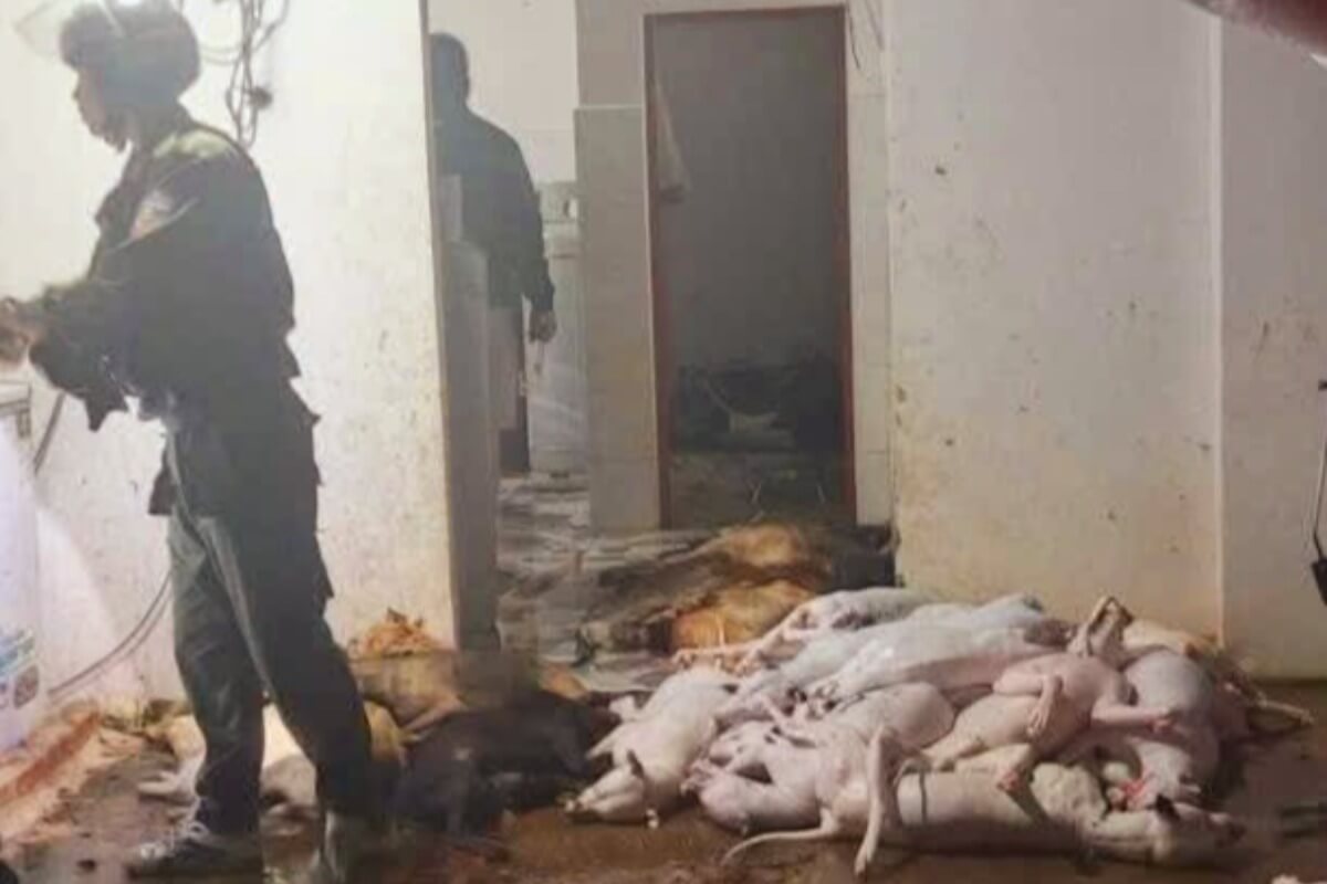 犬肉密売の大規模組織を摘発、現場からは1.6トン押収