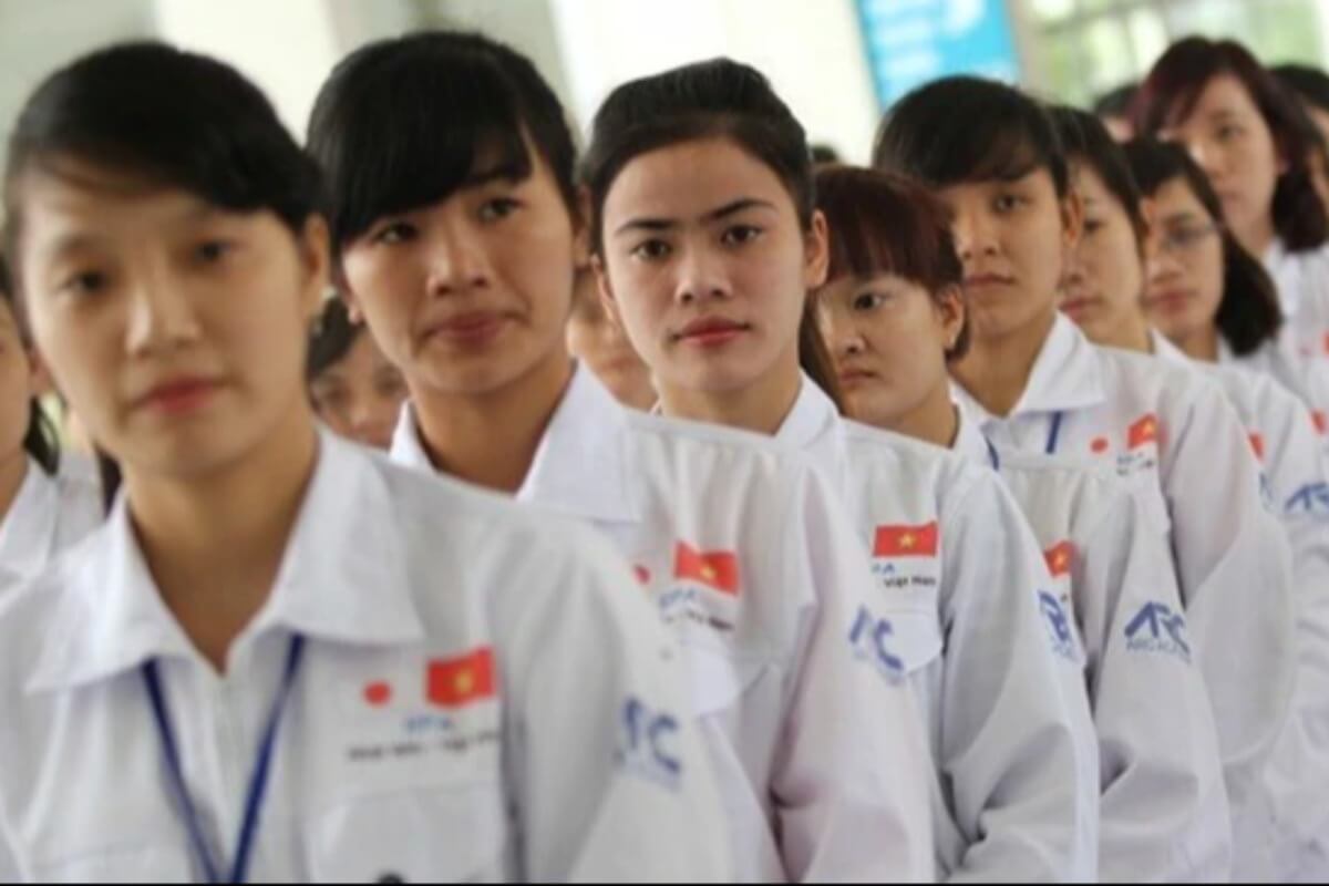 ベトナム人の高度人材層、日本で知的労働を志向する動きが拡大