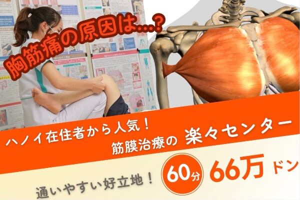 胸筋痛の49%が肋間筋の緊張に関連！治療は筋膜治療の楽々センター｜60分66万ドン