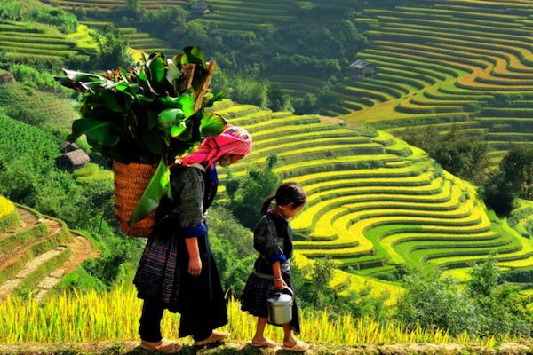 ベトナム,旅工房,旅行会社,日本語,日系,ツアー,国内ツアー