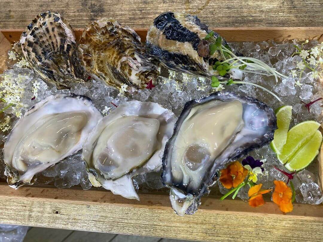 ホーチミン,レタントン,大衆酒場,串カツ,恵美須商店,えびす商店,バンコク,宴会,居酒屋,ランチ,